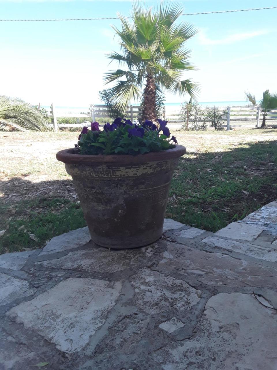 Il Tremolar Della Marina Agroturismo Casalbordino
